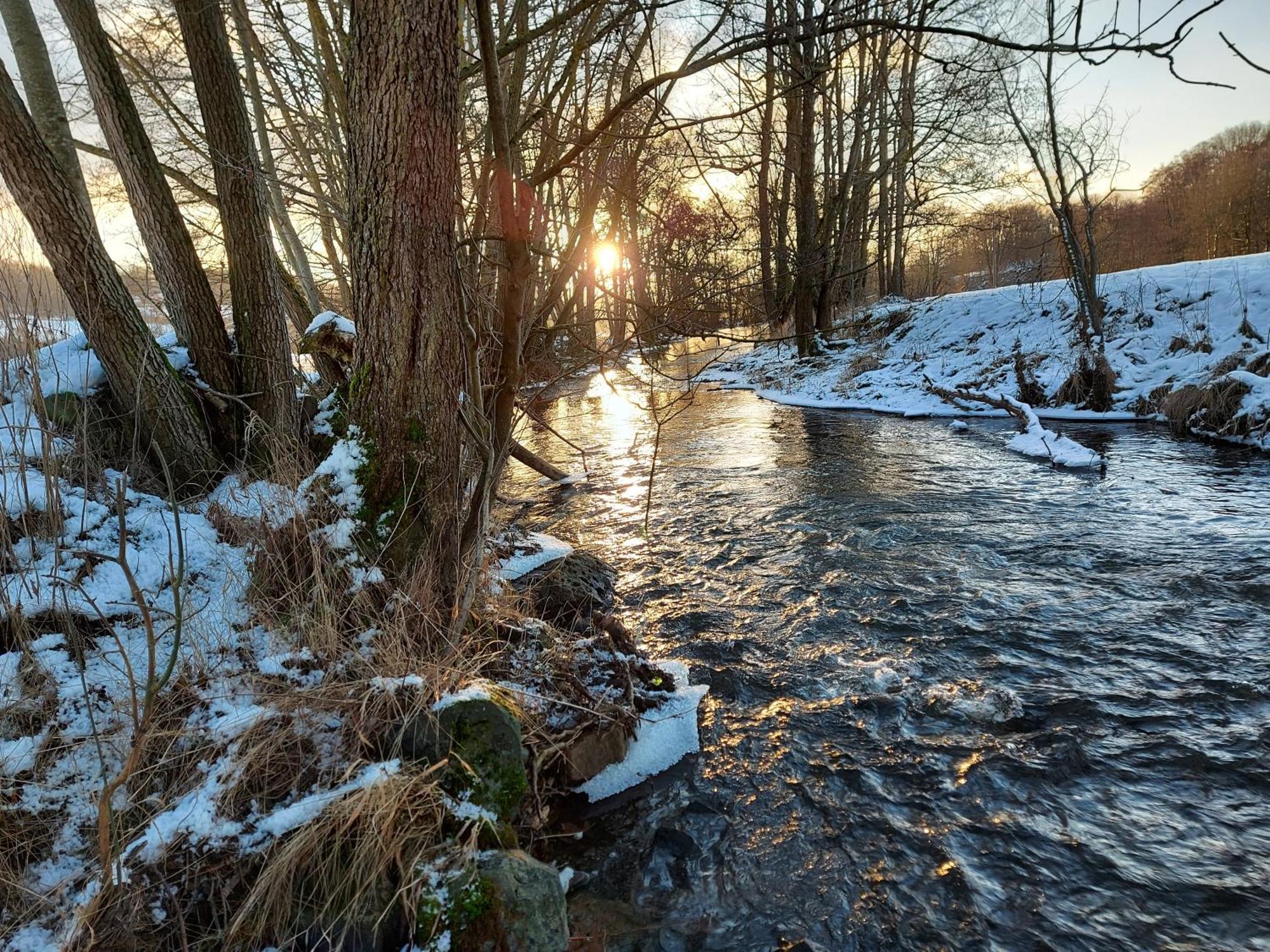 Gaestehaus Hochrhoenblick Schönau an der Brend Екстериор снимка