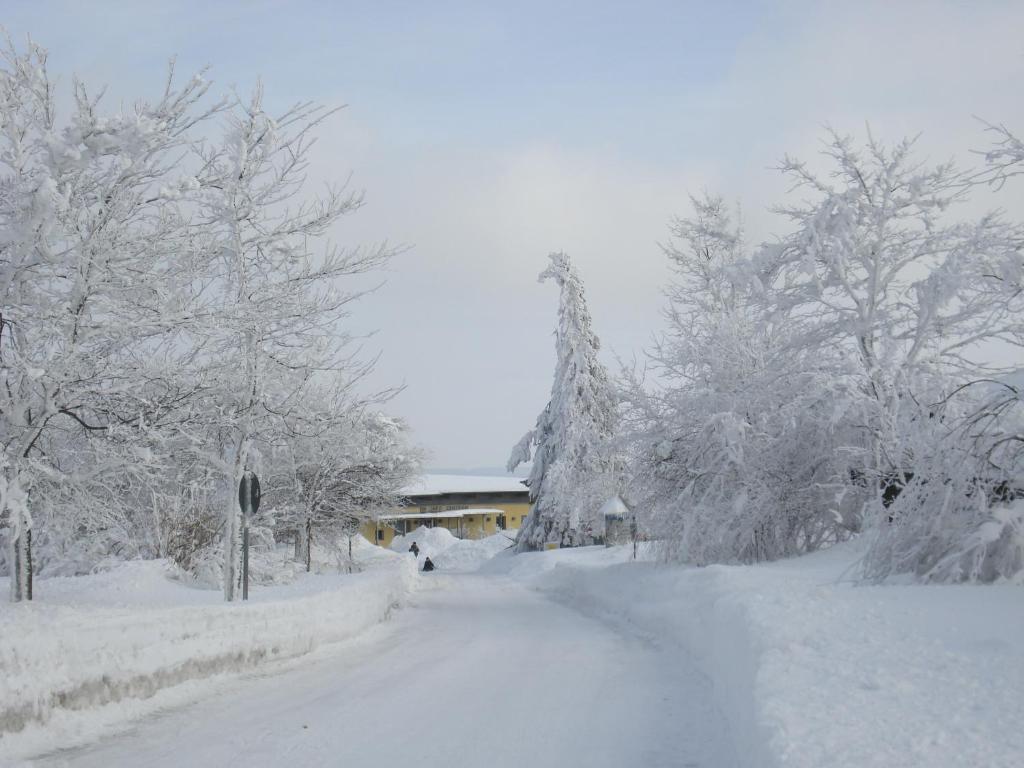 Gaestehaus Hochrhoenblick Schönau an der Brend Екстериор снимка